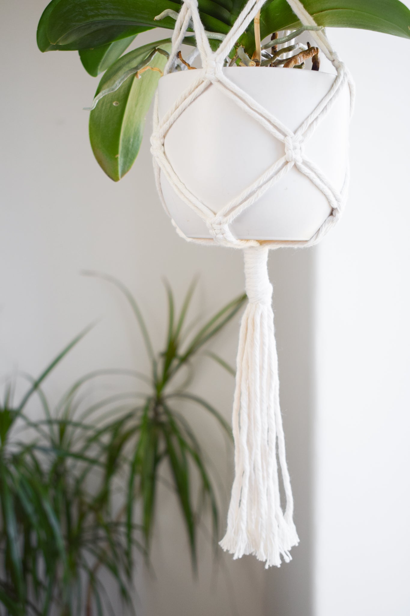 Macrame Plant Hanger White