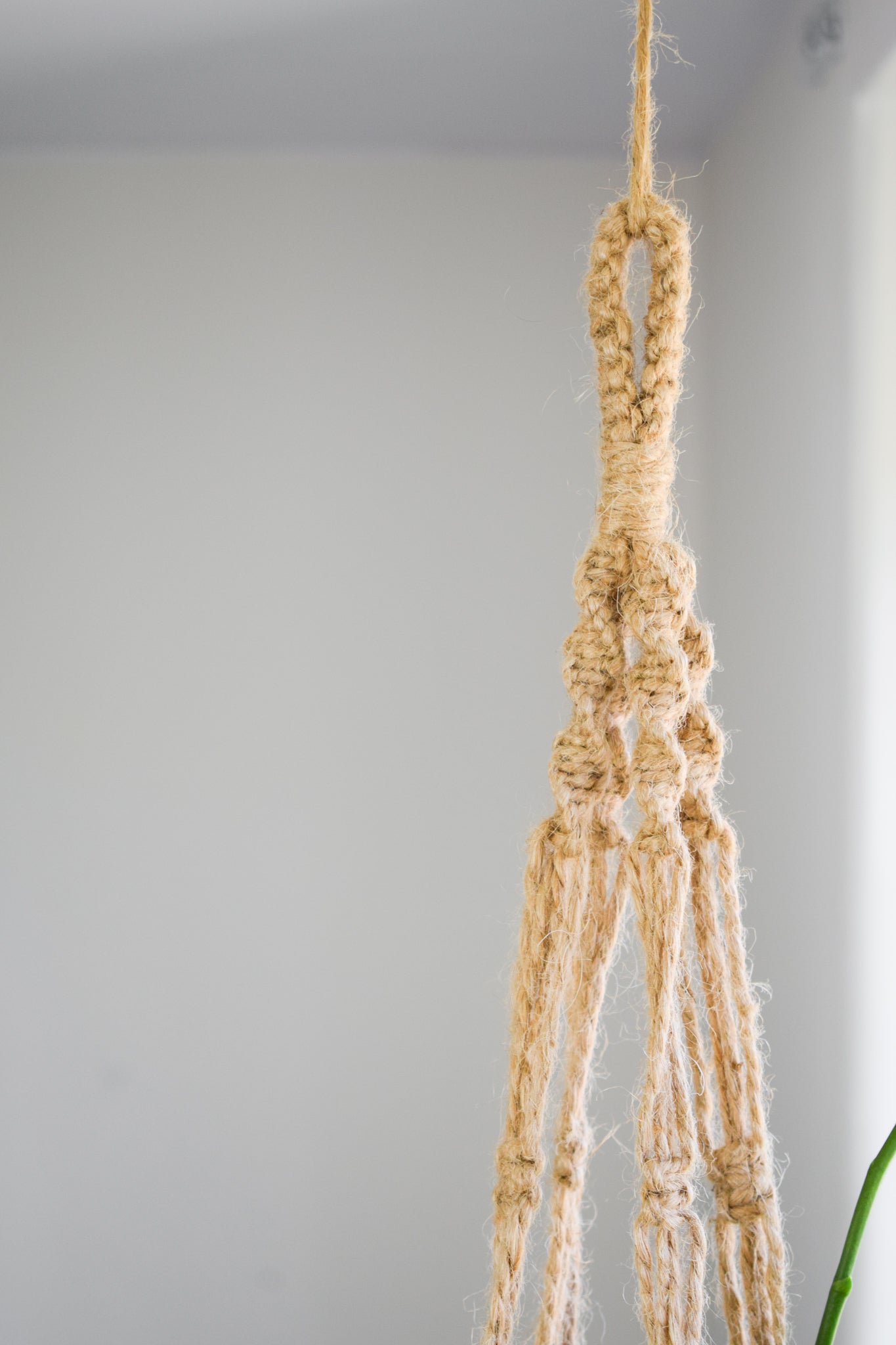 Macrame Plant Hanger Jute