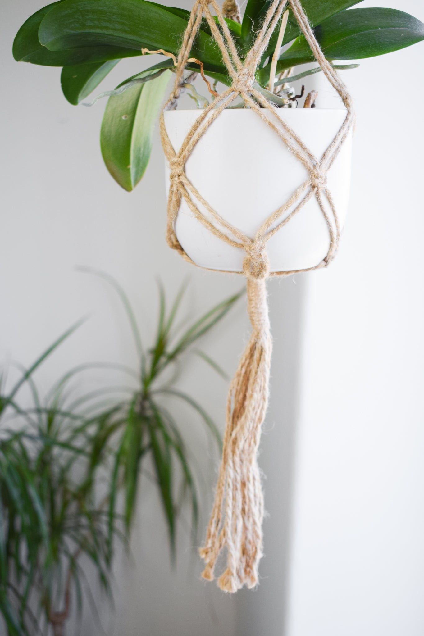 Macrame Plant Hanger Jute