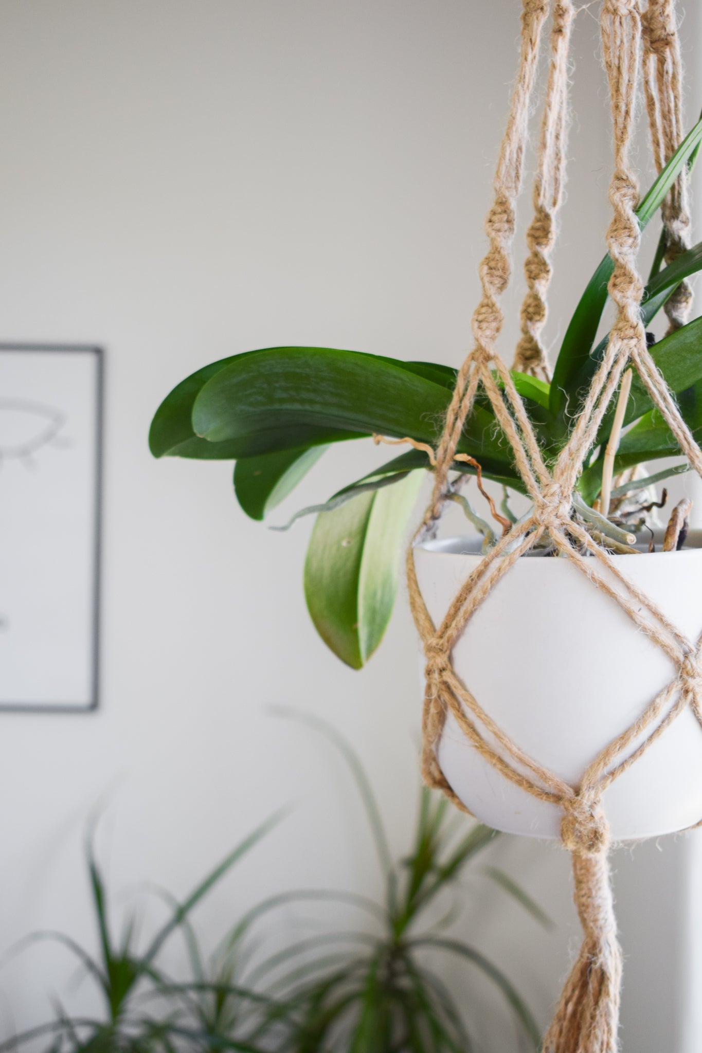 Macrame Plant Hanger Jute