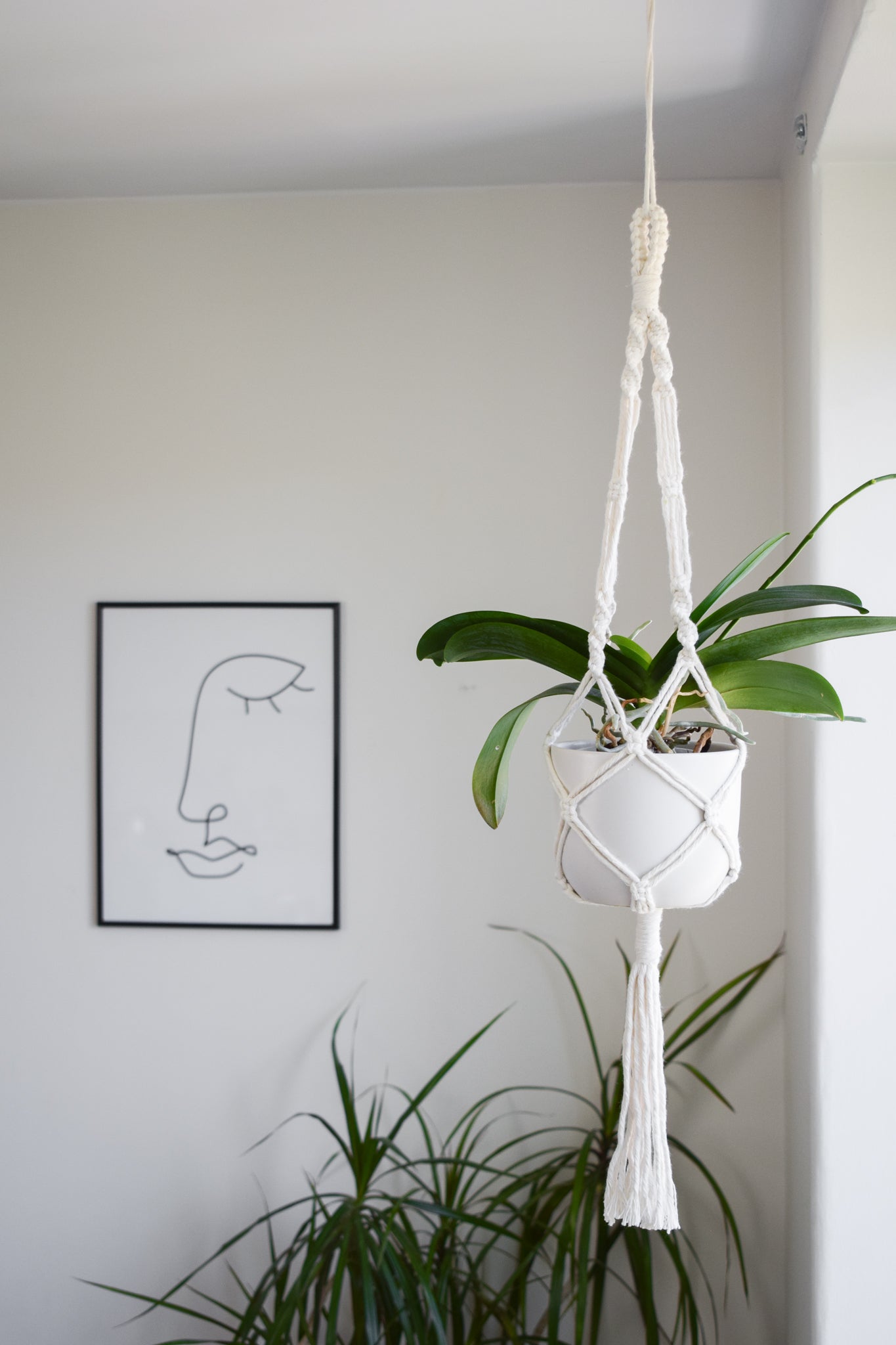 Macrame Plant Hanger White