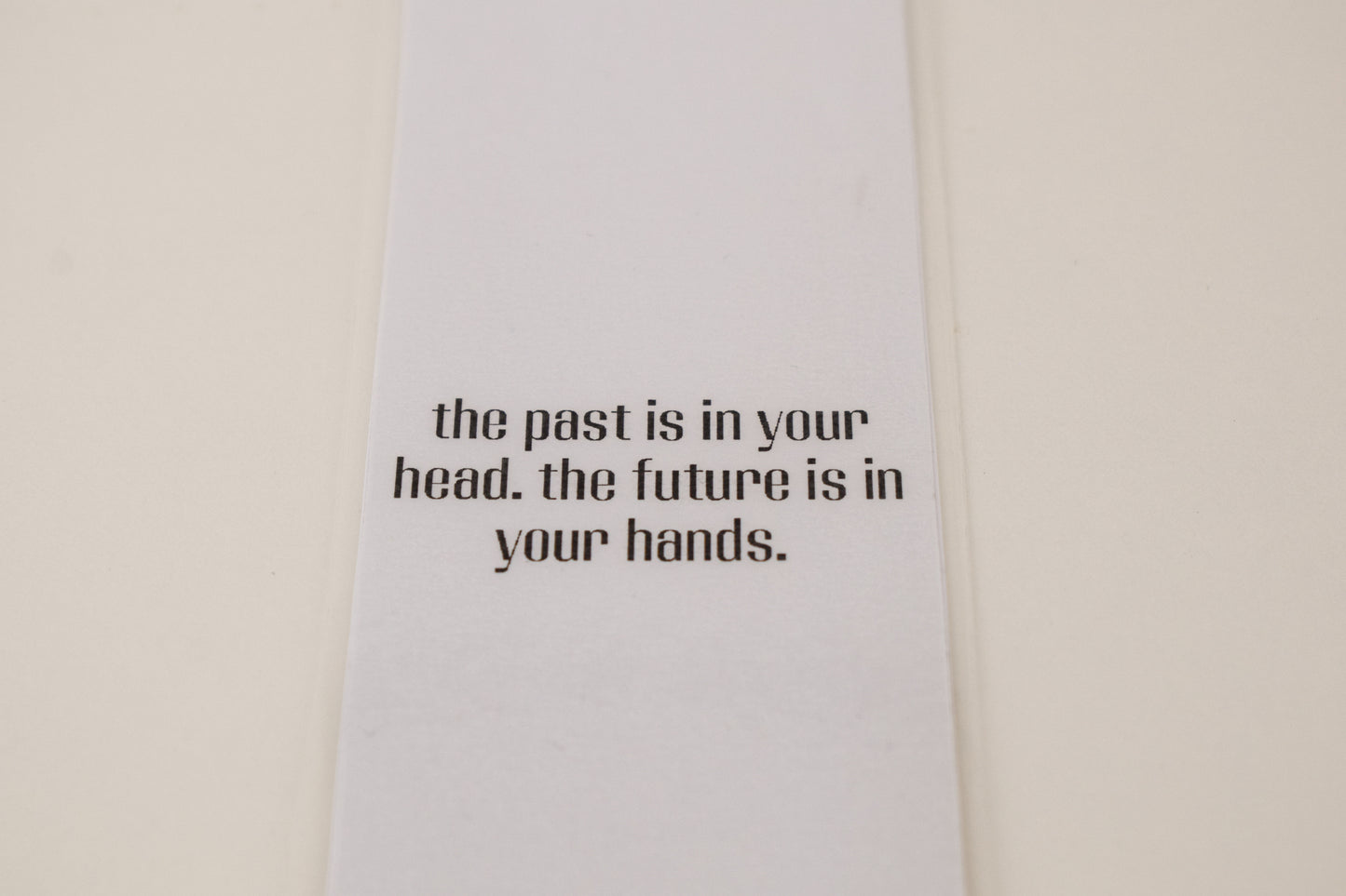 Bookmark "The past in in your head. The future is in your hands"